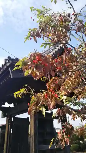 安樂寺(埼玉県)