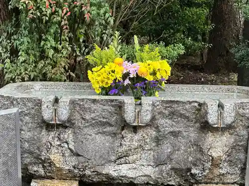 千鳥ヶ淵戦没者墓苑(東京都)