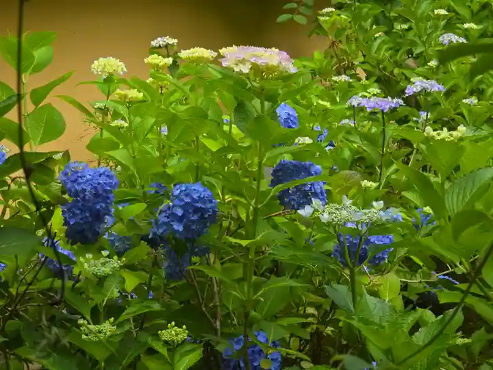西明寺(滋賀県)