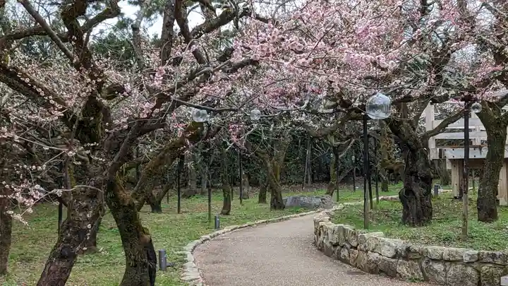 北野天満宮(京都府)