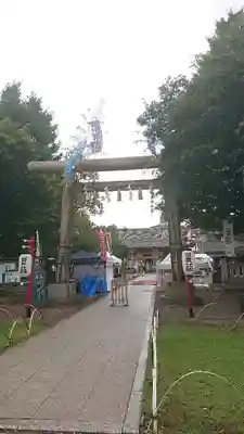 浅草神社の鳥居
