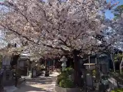 退魔寺(厄除茂呂不動尊)の自然