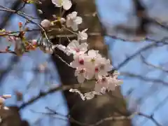 前原御嶽神社(千葉県)