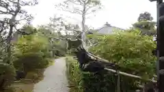 東大寺の建物その他