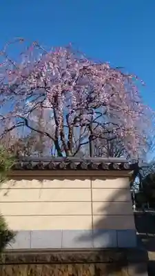 寛永寺(根本中堂)(東京都)