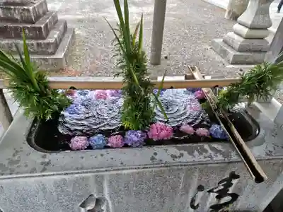 長浜八幡宮(滋賀県)