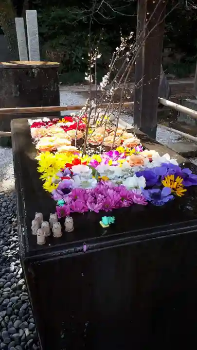 前玉神社の手水舎