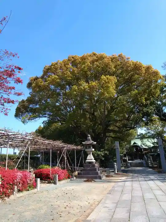 水天宮(福岡県)