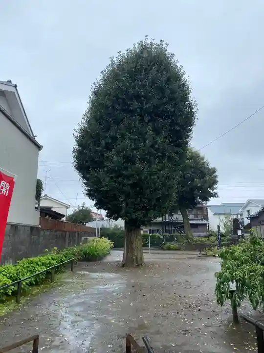 日吉八王子神社の庭園