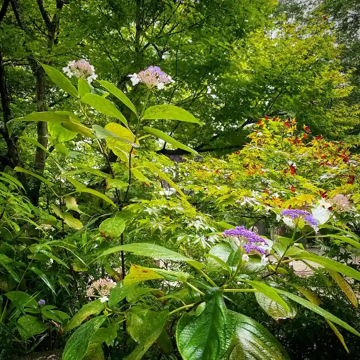 古峯神社の自然