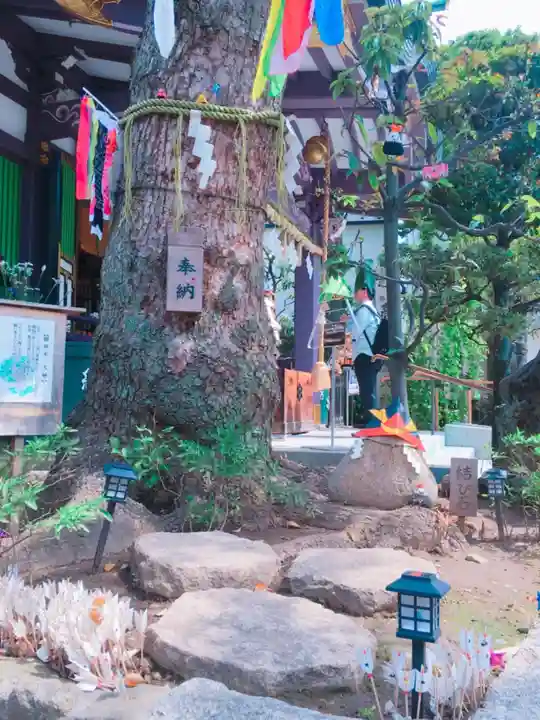 高木神社のその他建物