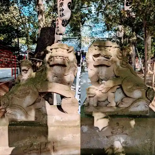 大宮・大原神社の狛犬