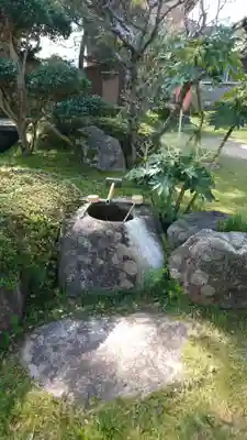 本願寺の手水舎