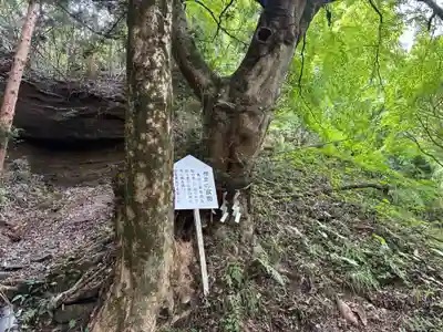 青麻神社(宮城県)