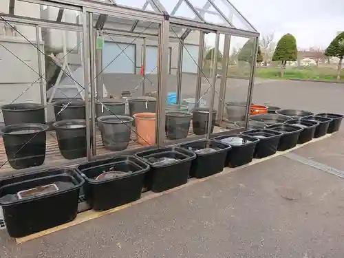 極楽山　浄土寺のその他建物