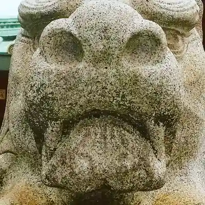 神田神社（神田明神）の狛犬