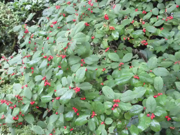 詩仙堂(丈山寺)の庭園