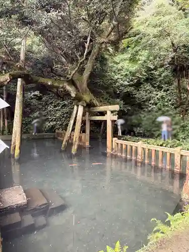 鹿島神宮(茨城県)