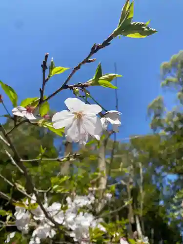 彦嶽宮(熊本県)