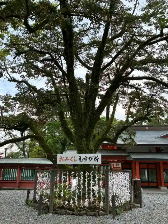 富士山本宮浅間大社の{uncategorized: "未分類", other: "その他", undefined: "問題あり", building: "その他建物", grave: "お墓", sacred_gate: "鳥居", guardian: "狛犬", statue: "像", buddha: "仏像", history: "歴史", nature: "自然", garden: "庭園", animal: "動物", pagoda: "塔", temizu: "手水舎", mountain_gate: "山門・神門", sanctuary: "本殿・本堂", subordinate: "末社・摂社", art: "芸術", scenery: "景色", jizo: "地蔵", ema: "絵馬", goshuin: "御朱印", omikuji: "おみくじ", items: "授与品その他", amulet: "お守り", goshuincho: "御朱印帳", eats: "食事", festival: "お祭り", votive_dance: "神楽", shichigosan: "七五三参", wedding: "結婚式", experience: "体験その他", initially: "初詣", around: "周辺", anti_infection: "感染症対策"}