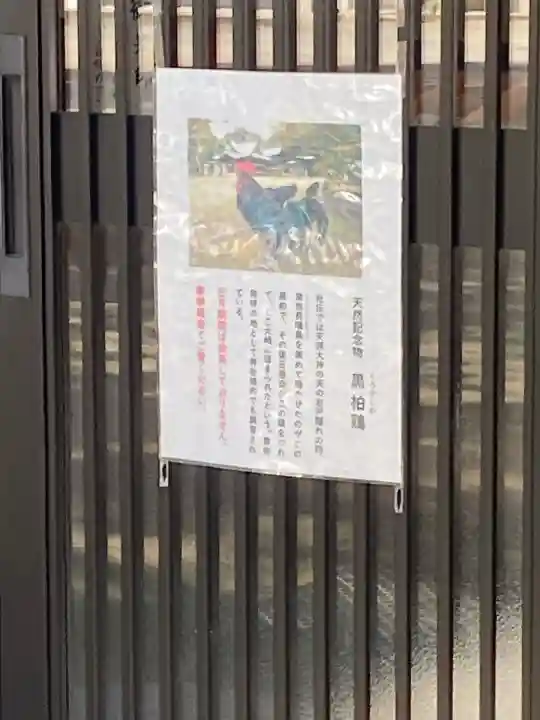 玉祖神社(山口県)