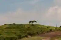 龍王神社(愛媛県)