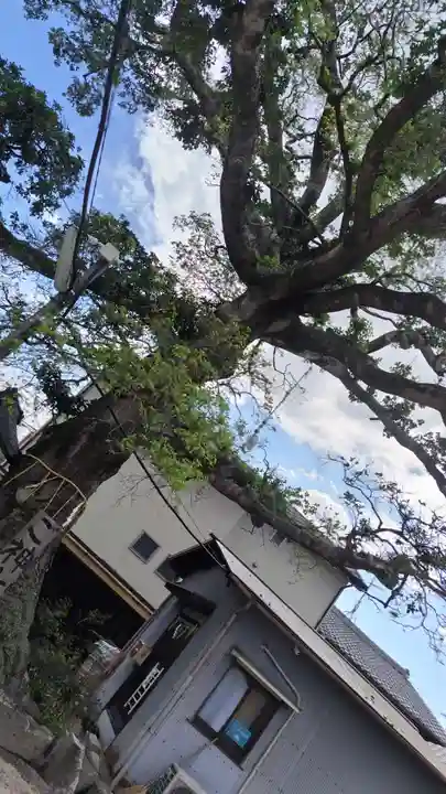 櫟谷七野神社(京都府)
