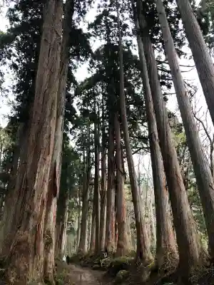 戸隠神社奥社の{uncategorized: "未分類", other: "その他", undefined: "問題あり", building: "その他建物", grave: "お墓", sacred_gate: "鳥居", guardian: "狛犬", statue: "像", buddha: "仏像", history: "歴史", nature: "自然", garden: "庭園", animal: "動物", pagoda: "塔", temizu: "手水舎", mountain_gate: "山門・神門", sanctuary: "本殿・本堂", subordinate: "末社・摂社", art: "芸術", scenery: "景色", jizo: "地蔵", ema: "絵馬", goshuin: "御朱印", omikuji: "おみくじ", items: "授与品その他", amulet: "お守り", goshuincho: "御朱印帳", eats: "食事", festival: "お祭り", votive_dance: "神楽", shichigosan: "七五三参", wedding: "結婚式", experience: "体験その他", initially: "初詣", around: "周辺", anti_infection: "感染症対策"}