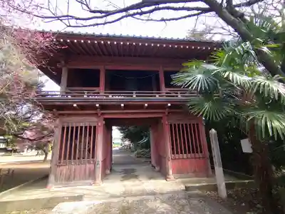 南蔵院の山門・神門