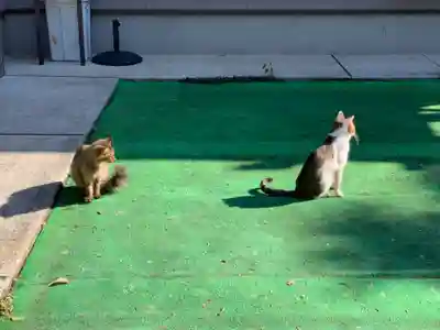 等覚寺(千葉県)