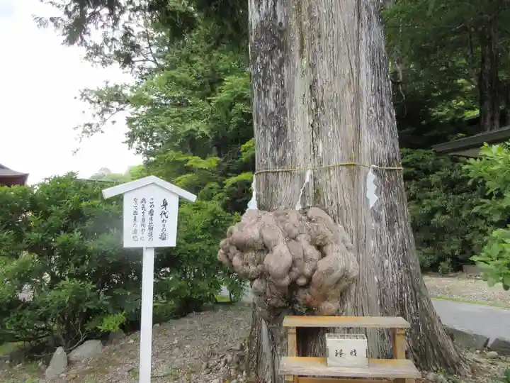 中禅寺のその他建物