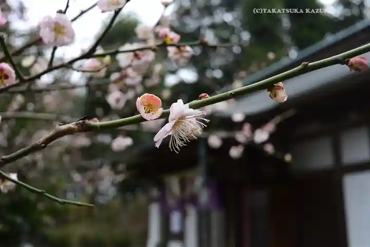 永谷天満宮(神奈川県)