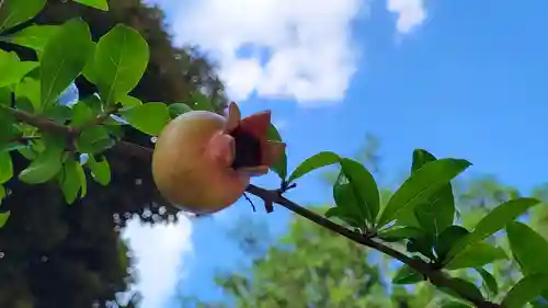 和樂備神社の自然