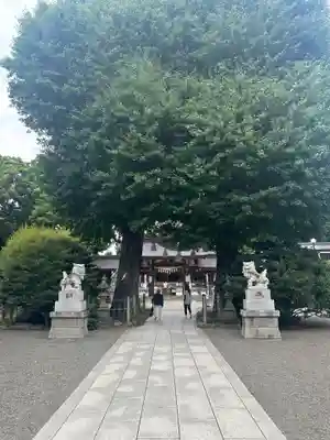 亀ケ池八幡宮(神奈川県)