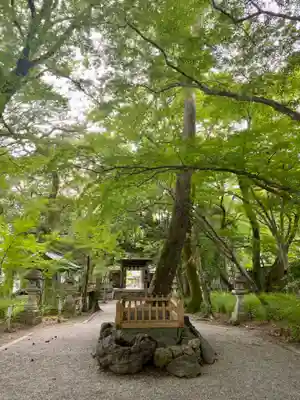 山内神社の自然
