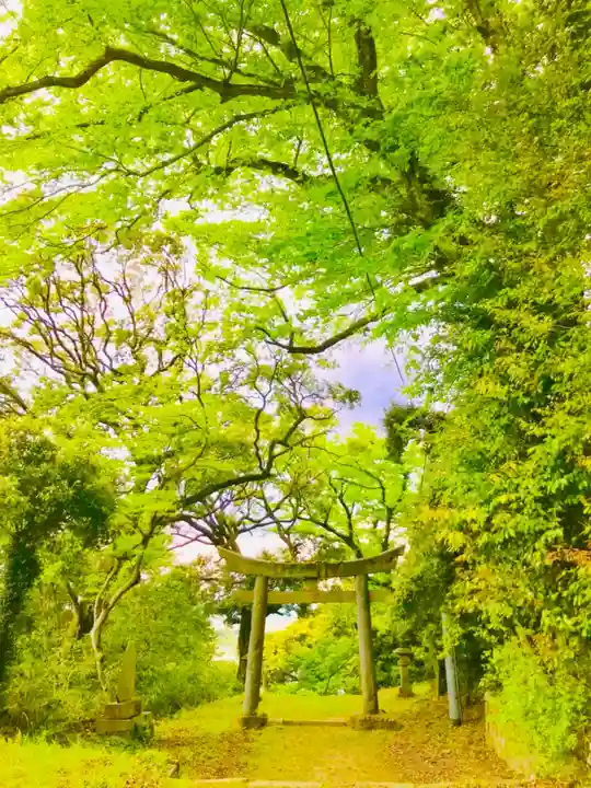 蚕影神社の鳥居