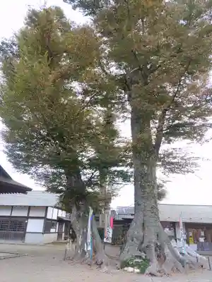 八枝神社(埼玉県)