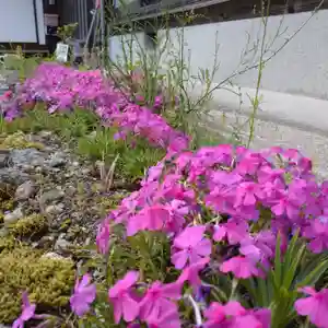 日蓮宗 総本山 塔頭 定林坊(じょうりんぼう)(山梨県)(2024年04月25日(木) 19時50分16秒投稿)