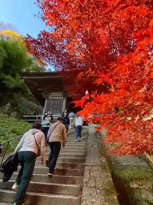 宝珠山 立石寺の山門・神門