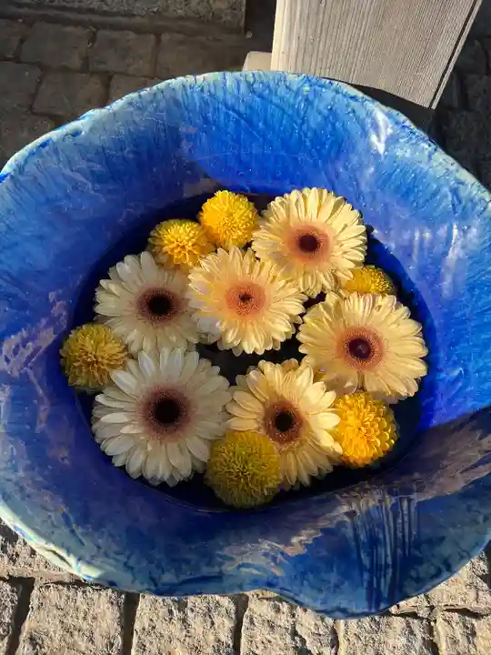 川越八幡宮(埼玉県)