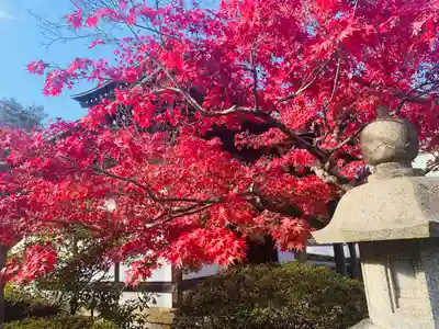 明王院(岡山県)