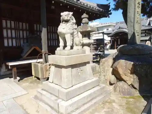 高砂神社の狛犬