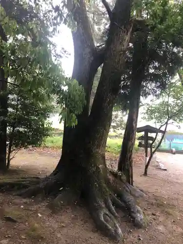 川併神社(三重県)
