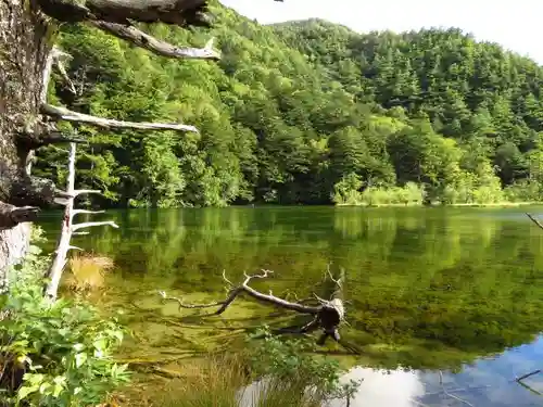 穂高神社奥宮の自然