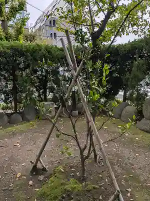 紀文稲荷神社(東京都)