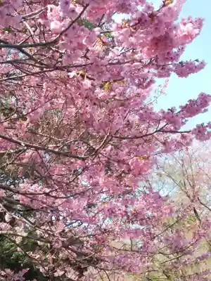 近江神宮(滋賀県)