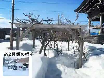 仁玄寺(北海道)