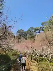 石山寺(滋賀県)