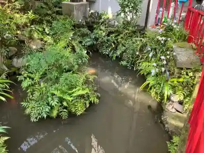 成田山七島不動尊の{uncategorized: "未分類", other: "その他", undefined: "問題あり", building: "その他建物", grave: "お墓", sacred_gate: "鳥居", guardian: "狛犬", statue: "像", buddha: "仏像", history: "歴史", nature: "自然", garden: "庭園", animal: "動物", pagoda: "塔", temizu: "手水舎", mountain_gate: "山門・神門", sanctuary: "本殿・本堂", subordinate: "末社・摂社", art: "芸術", scenery: "景色", jizo: "地蔵", ema: "絵馬", goshuin: "御朱印", omikuji: "おみくじ", items: "授与品その他", amulet: "お守り", goshuincho: "御朱印帳", eats: "食事", festival: "お祭り", votive_dance: "神楽", shichigosan: "七五三参", wedding: "結婚式", experience: "体験その他", initially: "初詣", around: "周辺", anti_infection: "感染症対策"}