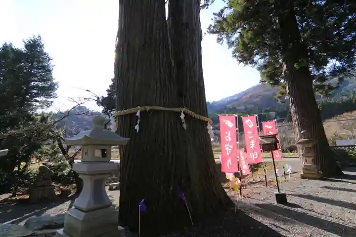 高司神社〜むすびの神の鎮まる社〜の自然
